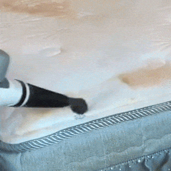 Do Handheld Steam Cleaners Really Work? Here’s Why You’ll Never Go Back to Traditional Cleaning
