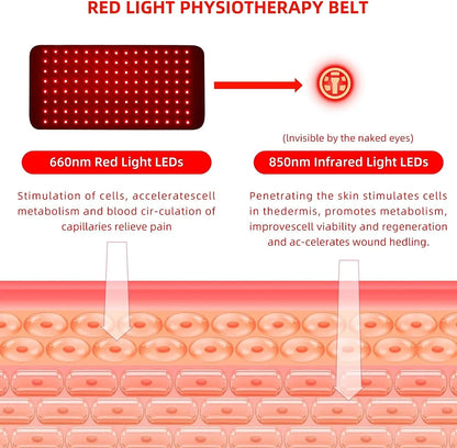 Red Light Therapy Belt – Pain Relief for Inflammation & Menstrual Cramps