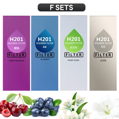 Vitamin C Shower Filter